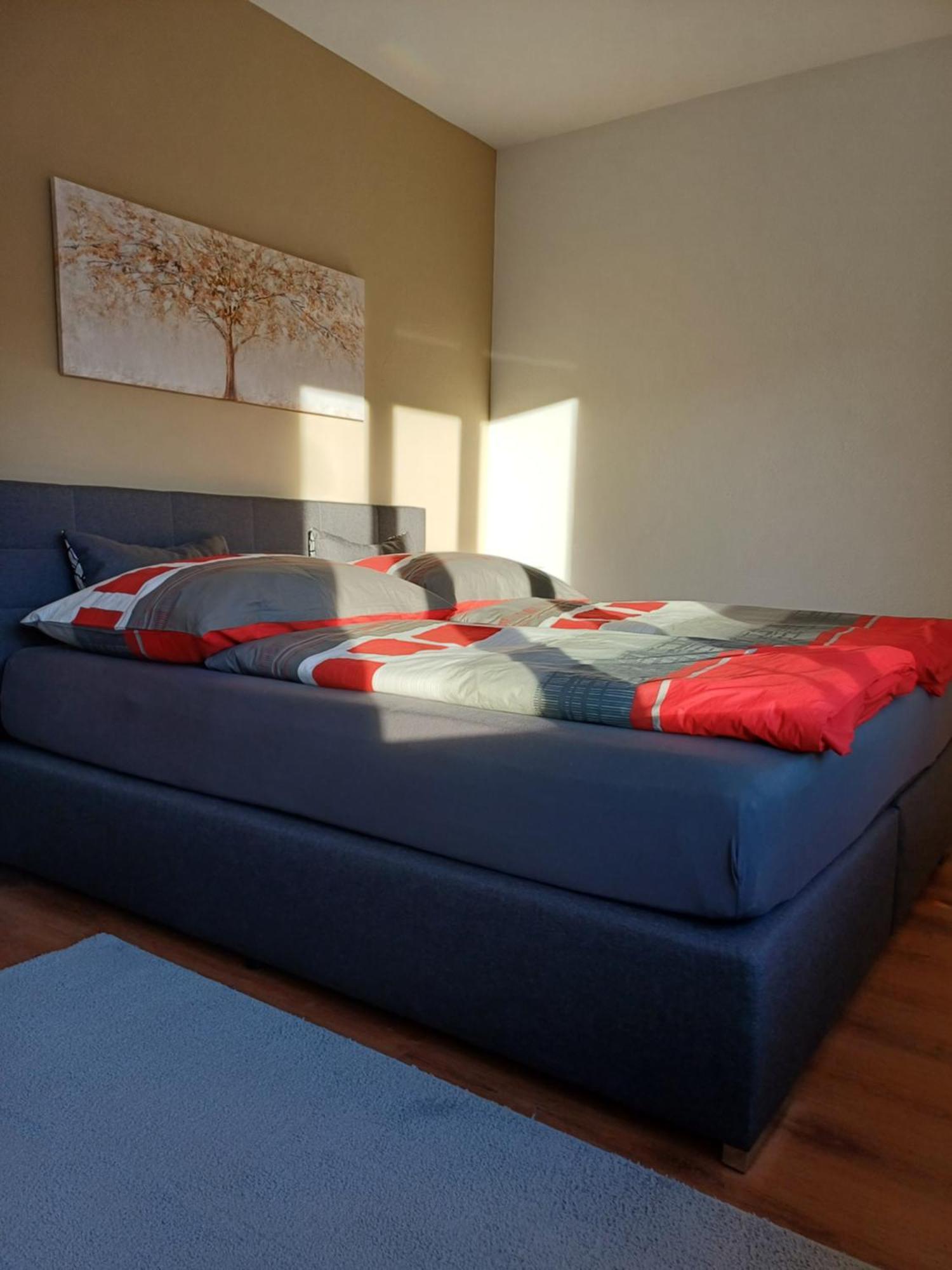 Ruhige Stadtwohnung, 107 M2 Dornbirn Ngoại thất bức ảnh